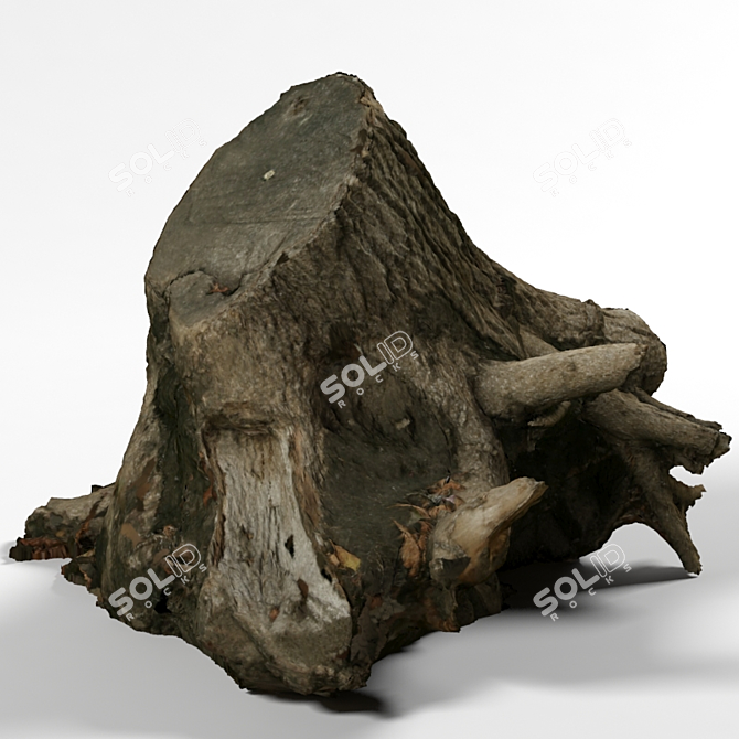 Vibrant Vray Displacement Stump 3D model image 1