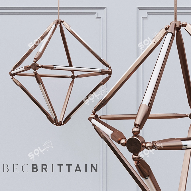 Elegant Illuminating Sculpture: Bec Brittain_SHY 10 3D model image 1