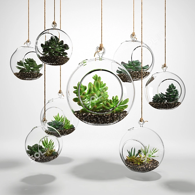 Sedum in Glass Sphere: Lush Succulent Display 3D model image 1