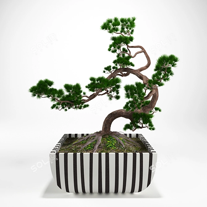 Miniature Pine Bonsai: Precise Replica in Stunning Detail 3D model image 1