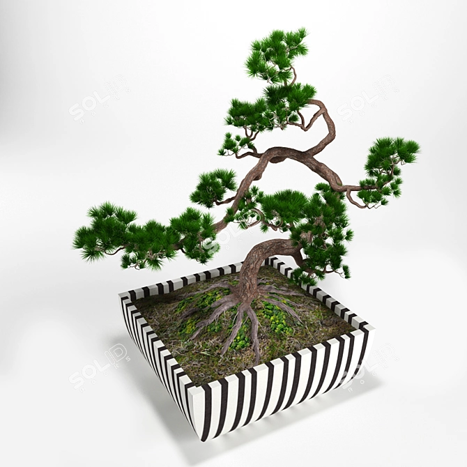 Miniature Pine Bonsai: Precise Replica in Stunning Detail 3D model image 2