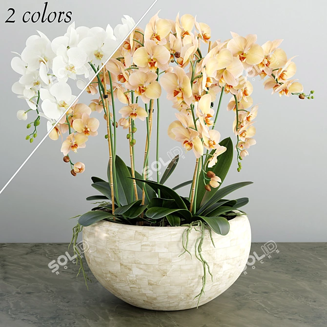 Title: Delicate Orchid Bloom 3D model image 1