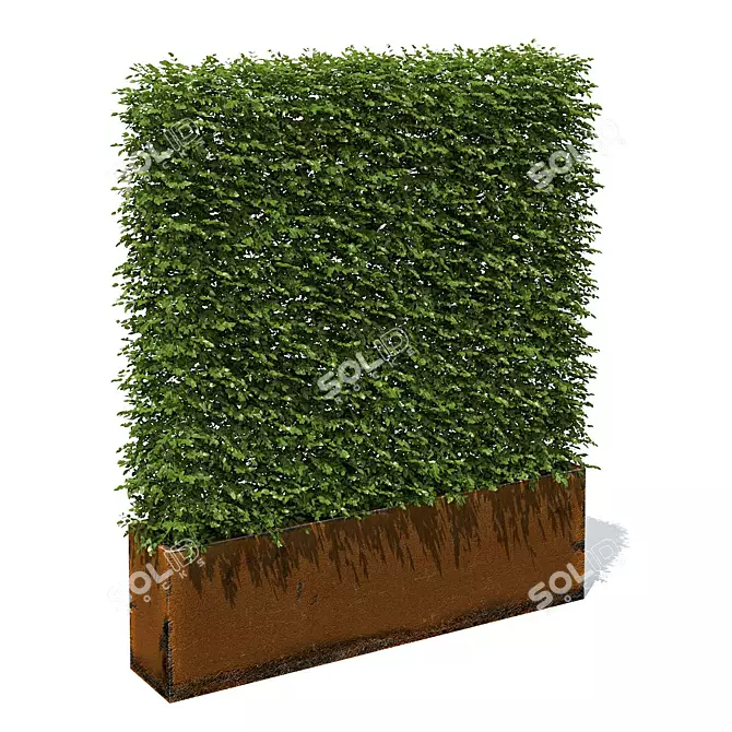 Rustic Metal High Hedges 3D model image 1