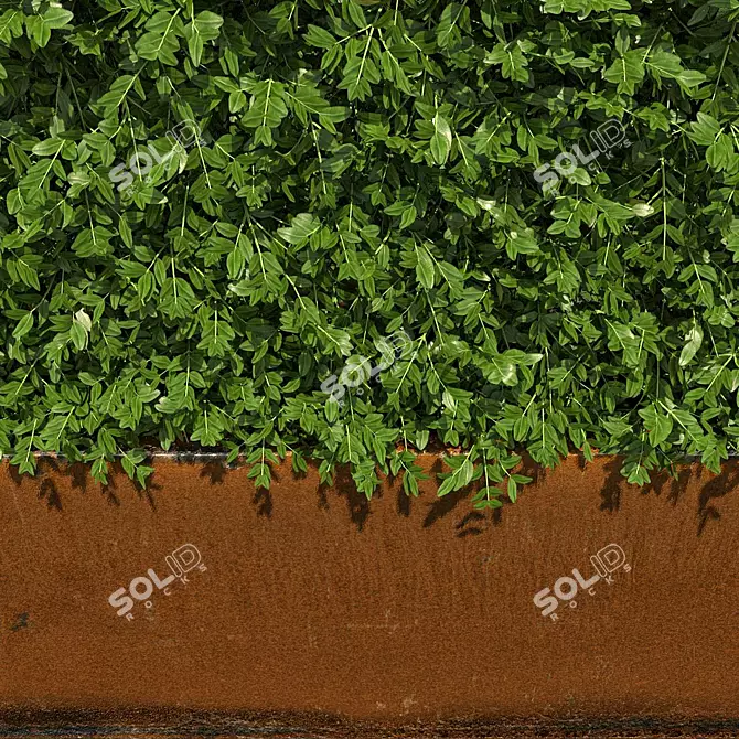 Rustic Metal High Hedges 3D model image 2