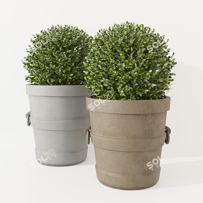 Elegant Boxwood Planters 3D model image 1