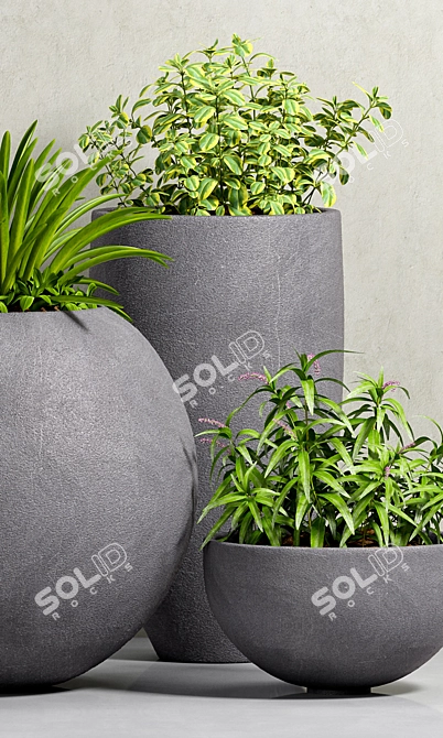 Modern Planters Set 3D model image 2