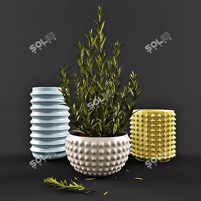 Rosemary Vases: Aromatic and Stylish 3D model image 1