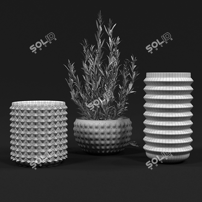 Rosemary Vases: Aromatic and Stylish 3D model image 2