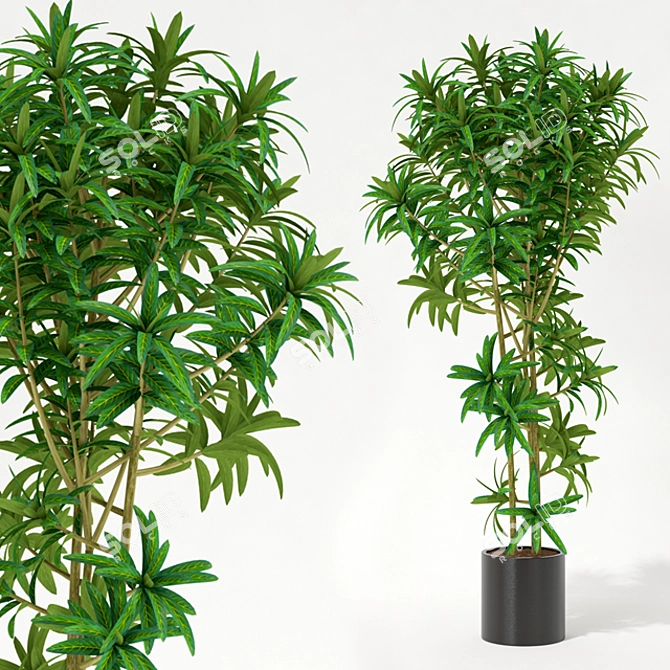  Fresh Greenery for Your Space 3D model image 1