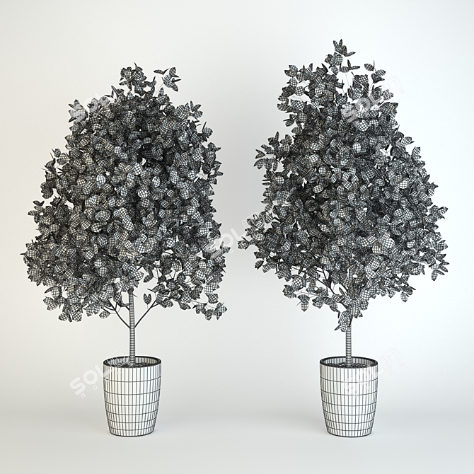 Benjamin 1600mm - Versatile and Tall Fikus 3D model image 2