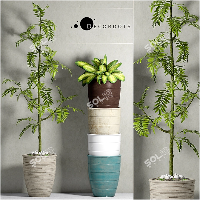 Elegant Botanical Planters Set 3D model image 1