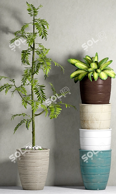 Elegant Botanical Planters Set 3D model image 2