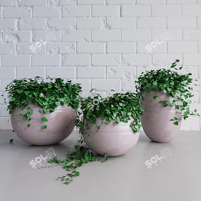 Elegance in Green: Ivy Pots 3D model image 1