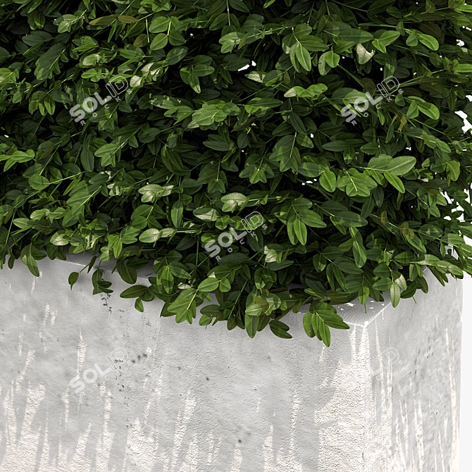 White Concrete Planter with Lush Hedge 3D model image 2