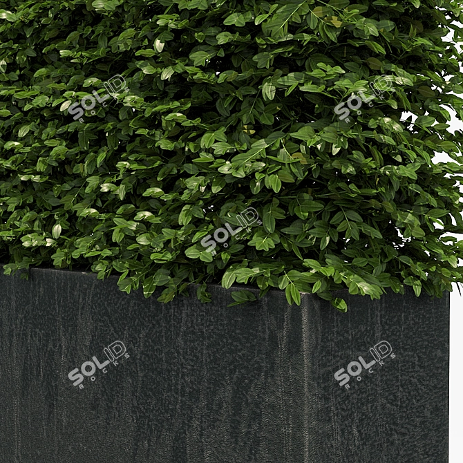 Sleek Black Hedge Planter 3D model image 2