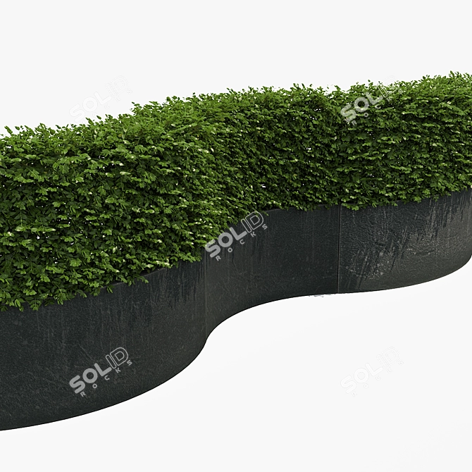 Sleek Black Hedge Planter 3D model image 3