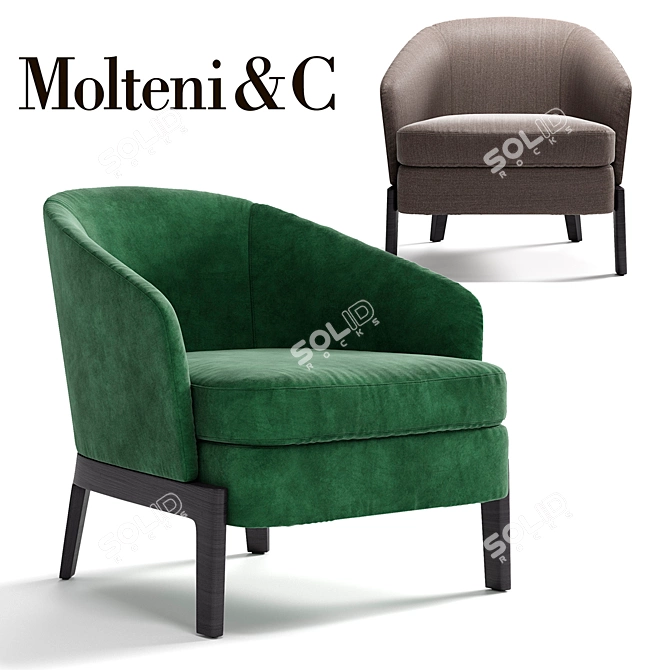 Title: MOLTENI&C CHELSEA Armchair - Modern Elegance for Your Space 3D model image 1