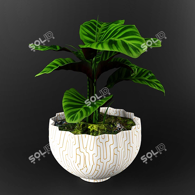 Stunning Calathea Zebrina: Perfect for Any Decor 3D model image 1