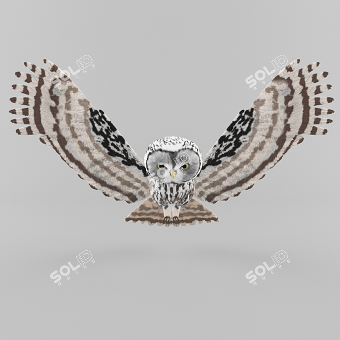 Brushed Feather Owl Sculpture 3D model image 1