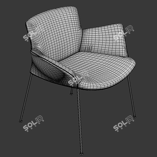 Walter Knoll Burgaz Armchair 3D model image 3