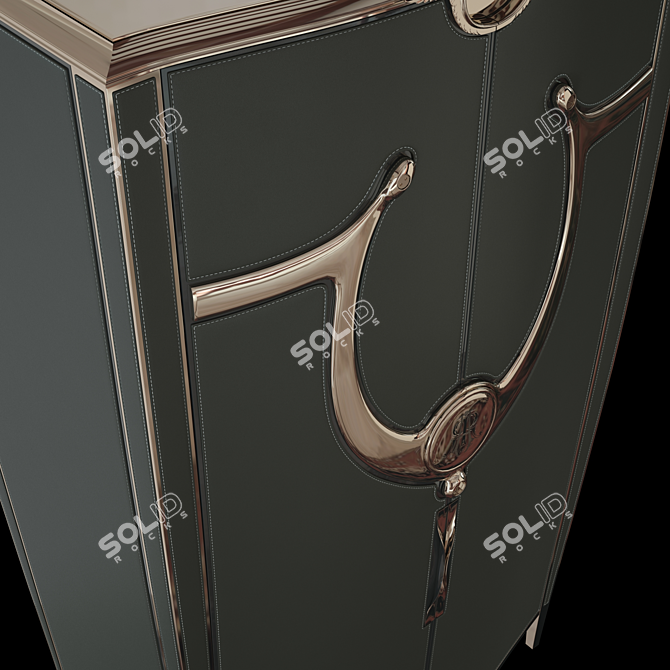 Luxury Noir Leather-Inlaid Wardrobe 3D model image 3