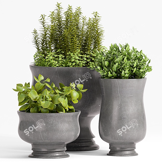 Modern Plant Decor Set 3D model image 1