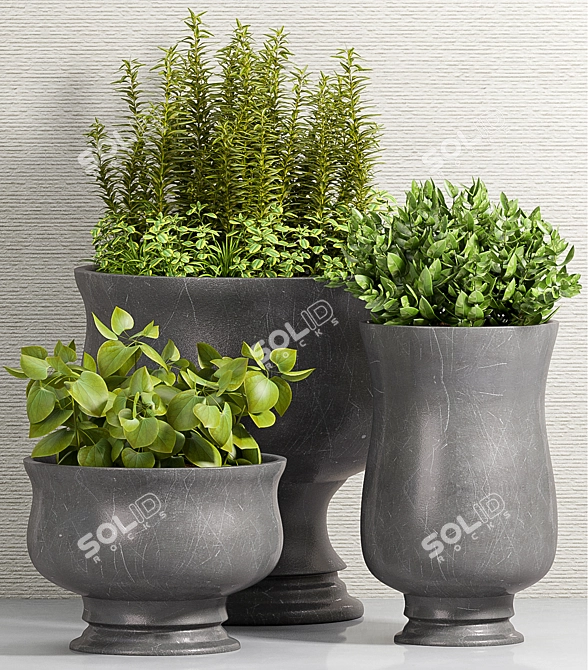 Modern Plant Decor Set 3D model image 2