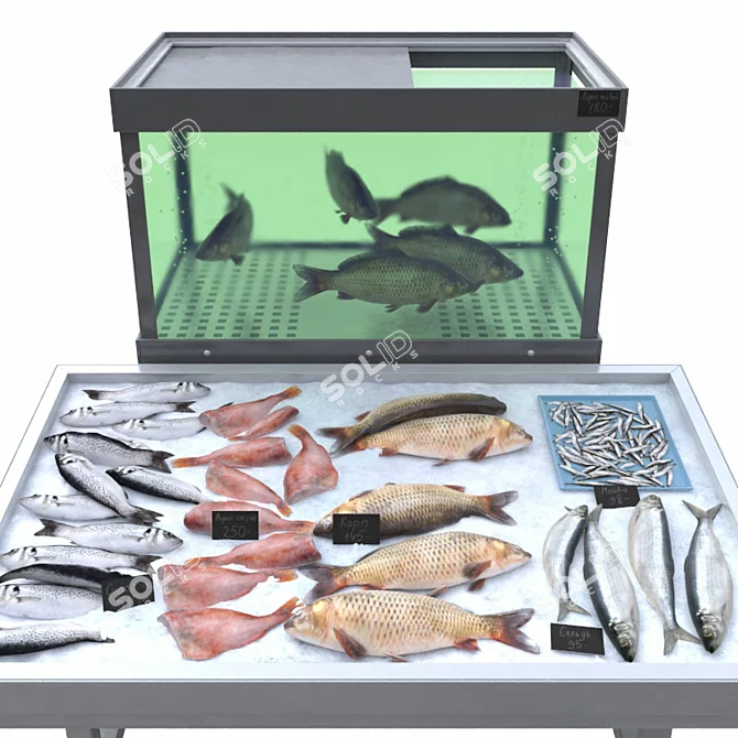 Aquatic Delight Fish Store 3D model image 1