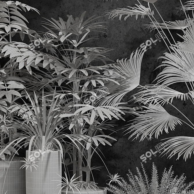 Indoor Plants Collection 3D model image 3