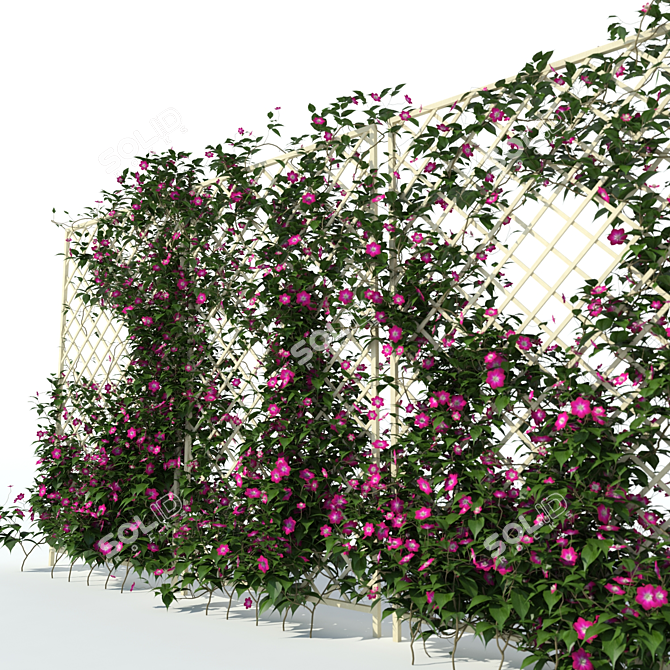 Clematis Vine Hedge | 3D Max Plugin 3D model image 2