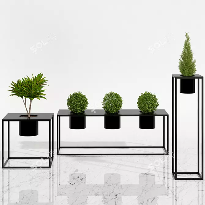 Tropical Oasis Potted Plants 3D model image 1