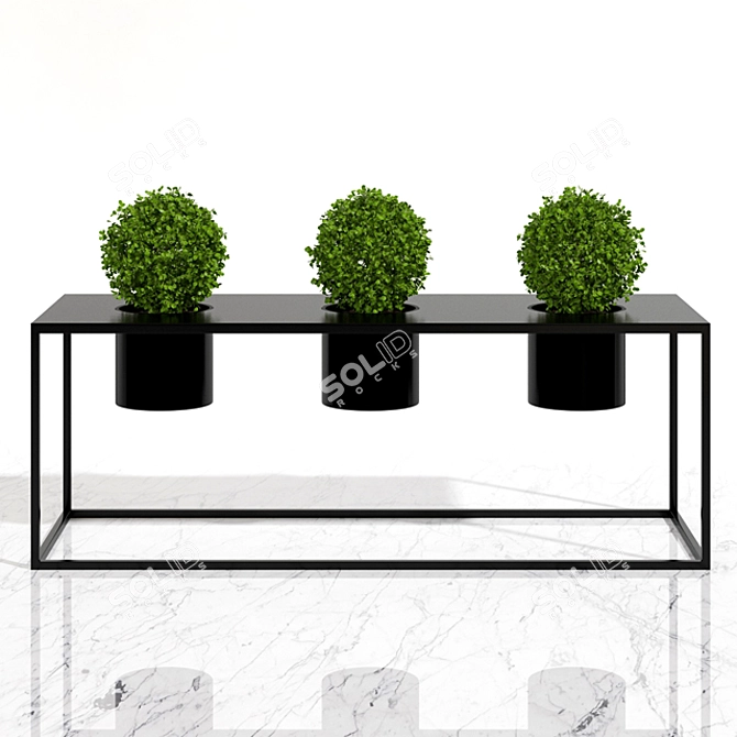 Tropical Oasis Potted Plants 3D model image 2