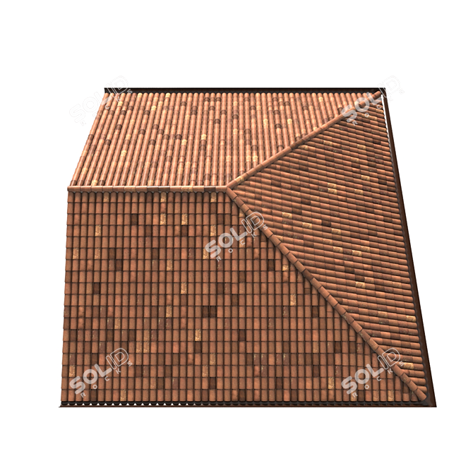 Authentic Italian Tile Roof 3D model image 2