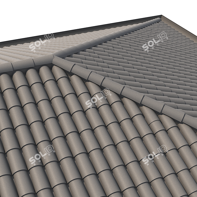 Authentic Italian Tile Roof 3D model image 3