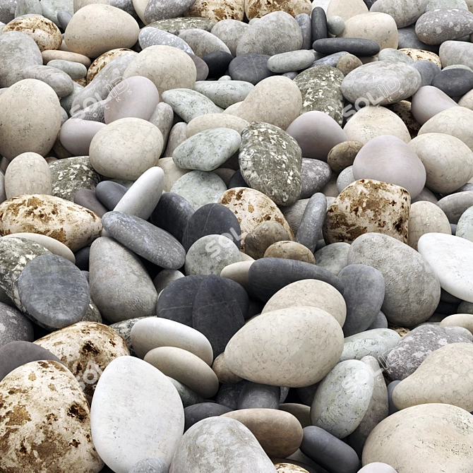 Multi-Colored Pebbles Road 3D model image 1