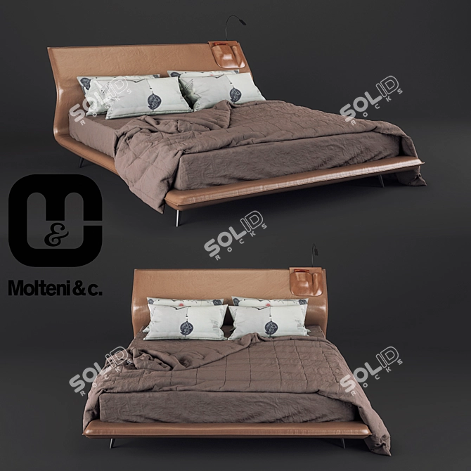 Italian Made Molteni&C Bed 3D model image 1