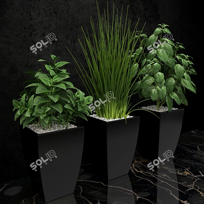 Kitchen Greens: Freshen Up Your Cooking Space! 3D model image 2