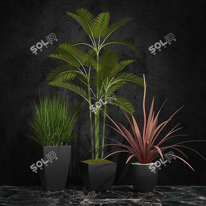 Indoor Plants Set 06 3D model image 1