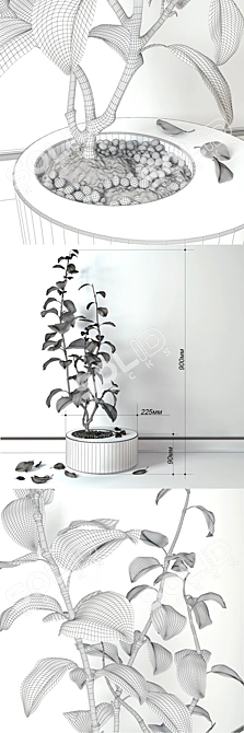 Concrete Tub Lemon Tree 3D model image 2