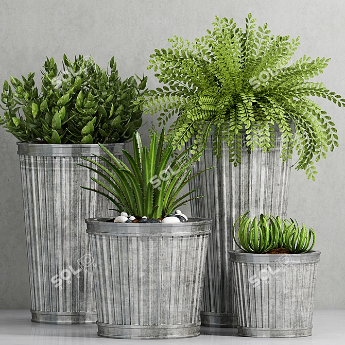Vintage Planters Set 3D model image 2