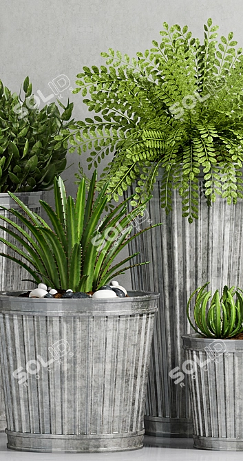 Vintage Planters Set 3D model image 3