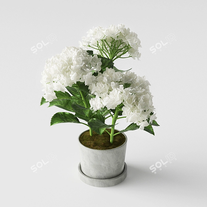Hydrangea Delight in a Pot 3D model image 2