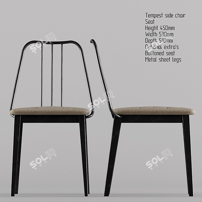 Industrial Steel Frame Side Chair 3D model image 2