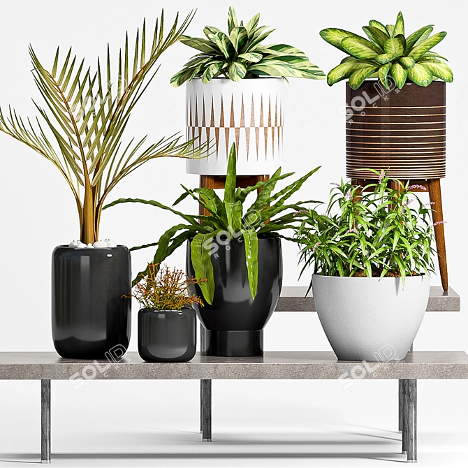 Elegant Planters Set -50% 3D model image 1