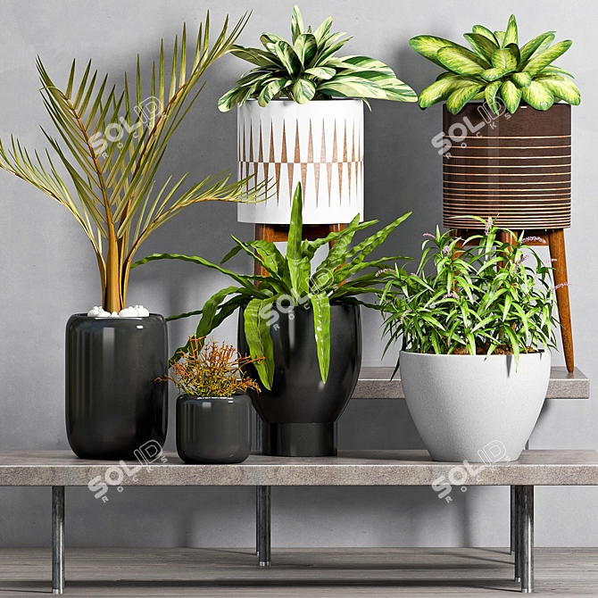 Elegant Planters Set -50% 3D model image 2