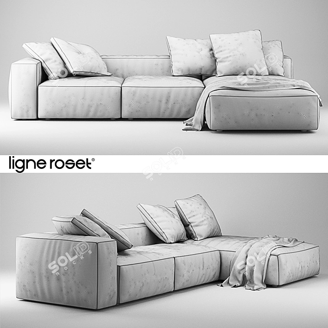 Luxurious Ligne Roset Nils Sofa 3D model image 2