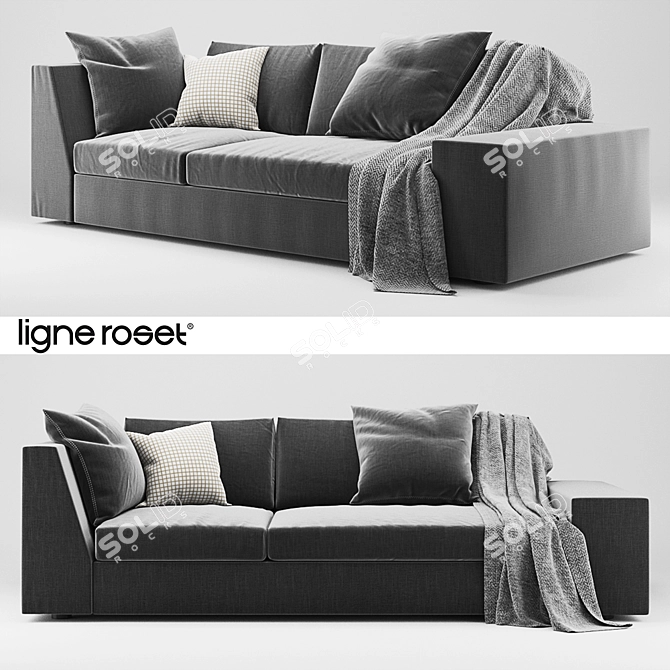 Luxury Ligne Roset Exclusif Sofa 3D model image 1