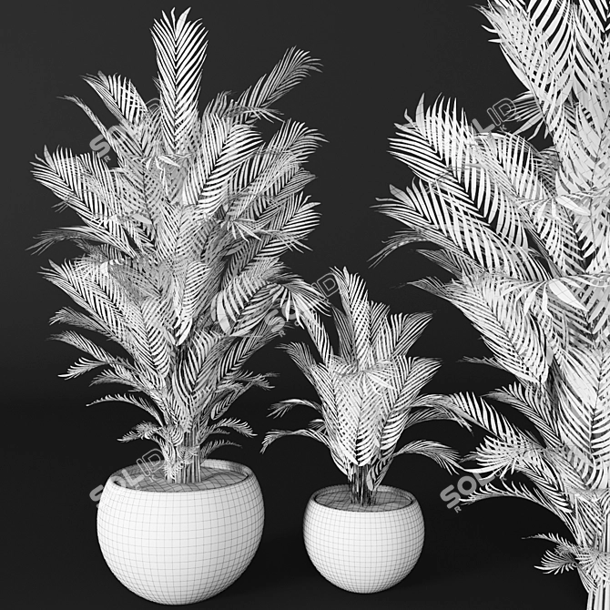Tropical Beauty: Areca Palm 3D model image 3