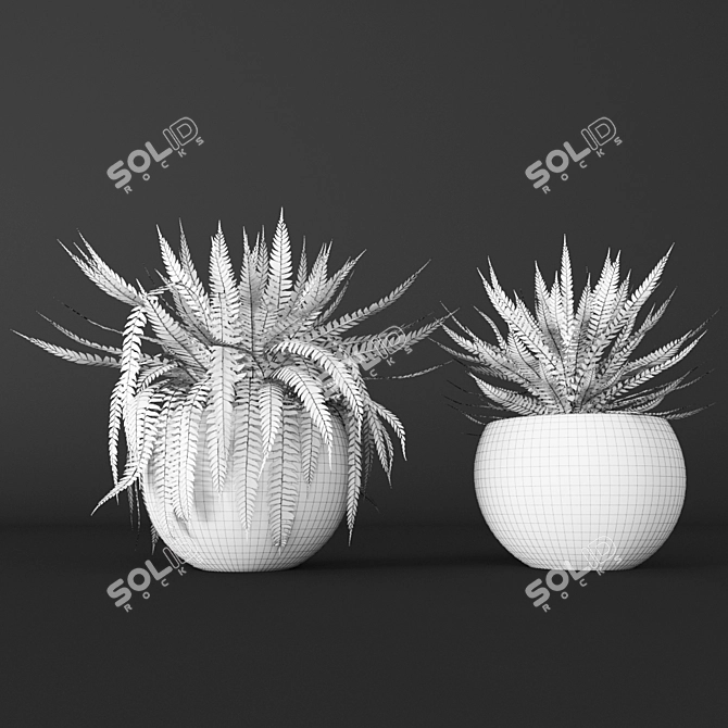 Elegant Fern Duo 3D model image 3