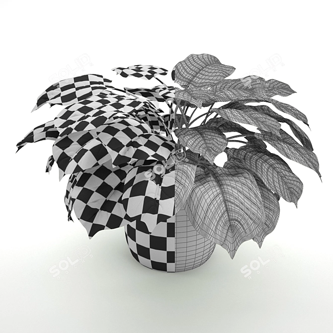 Lush Green Philodendron: A Stunning Evergreen Houseplant 3D model image 3